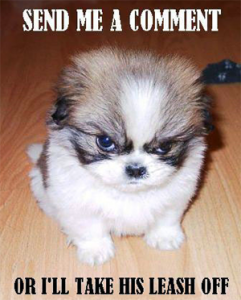 a small fluffy puppy glowers at the camera